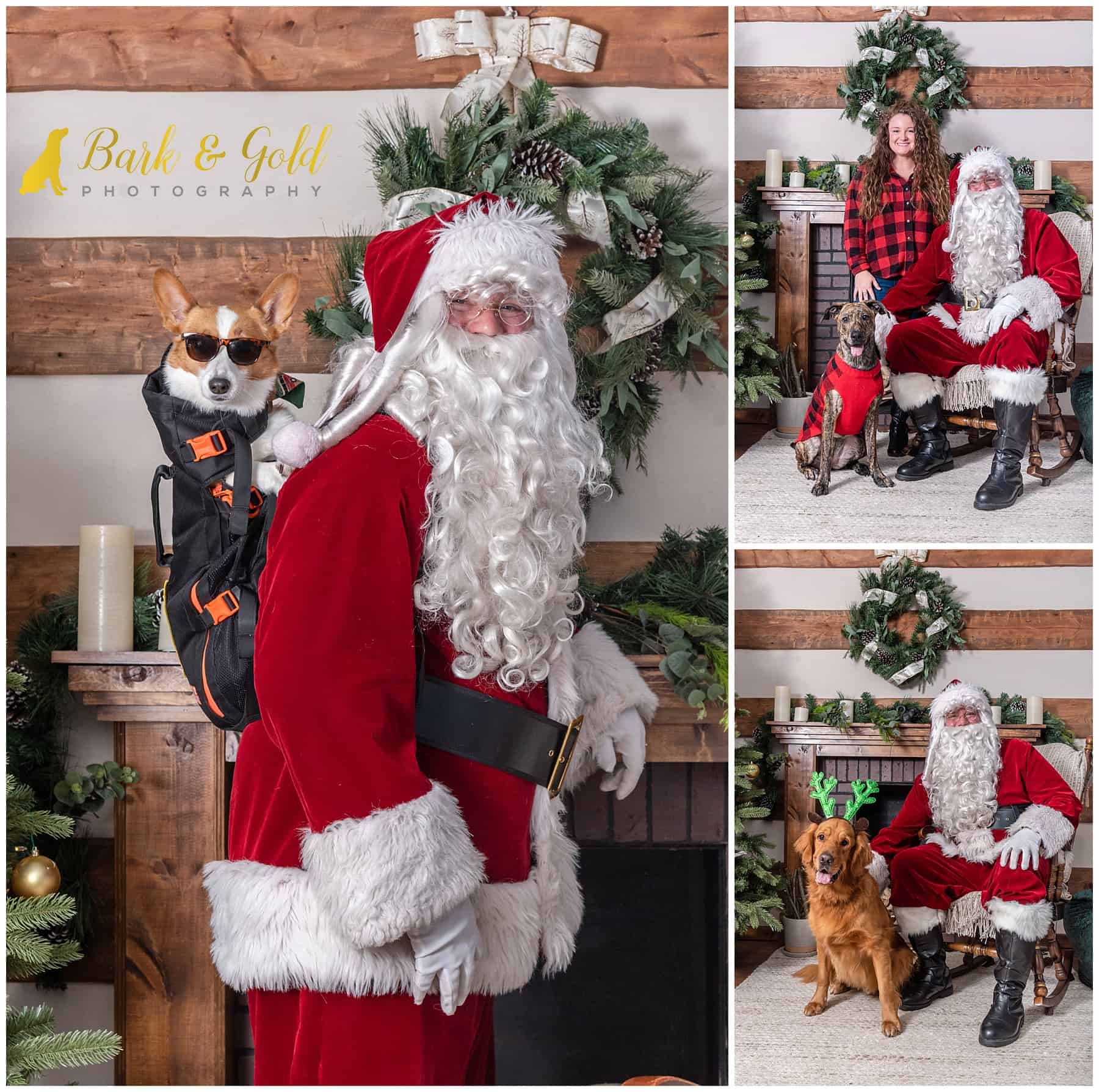 Pittsburgh dogs posing with Santa at Petagogy's 2022 Pet Photos with Santa event in Greensburg