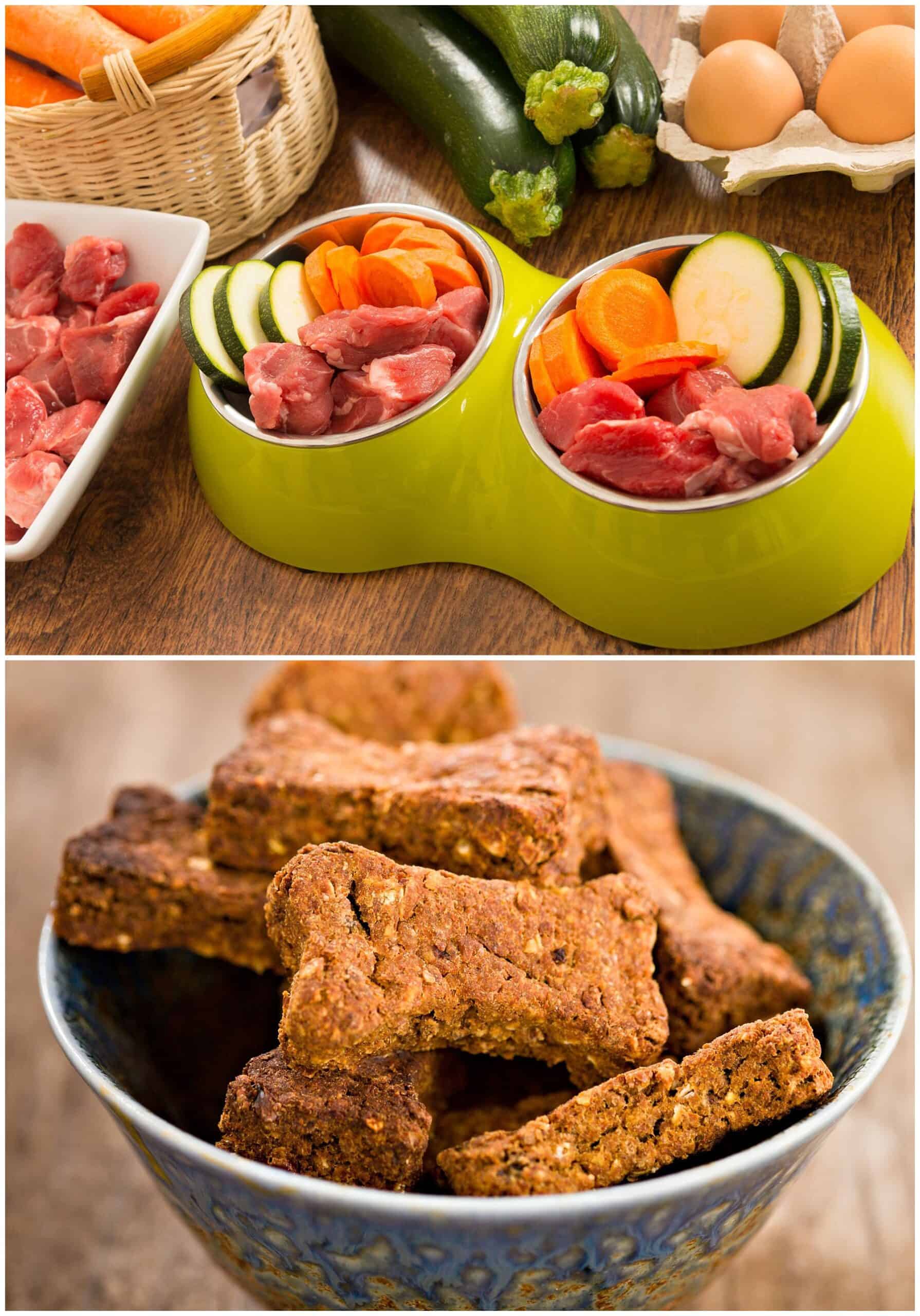 healthy ingredients to use in homemade dog treats, including lean meat, vegetables, and fruit