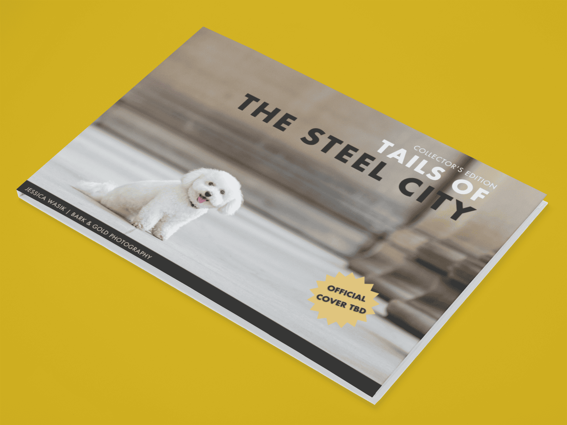Tails of the Steel City fundraising book mockup