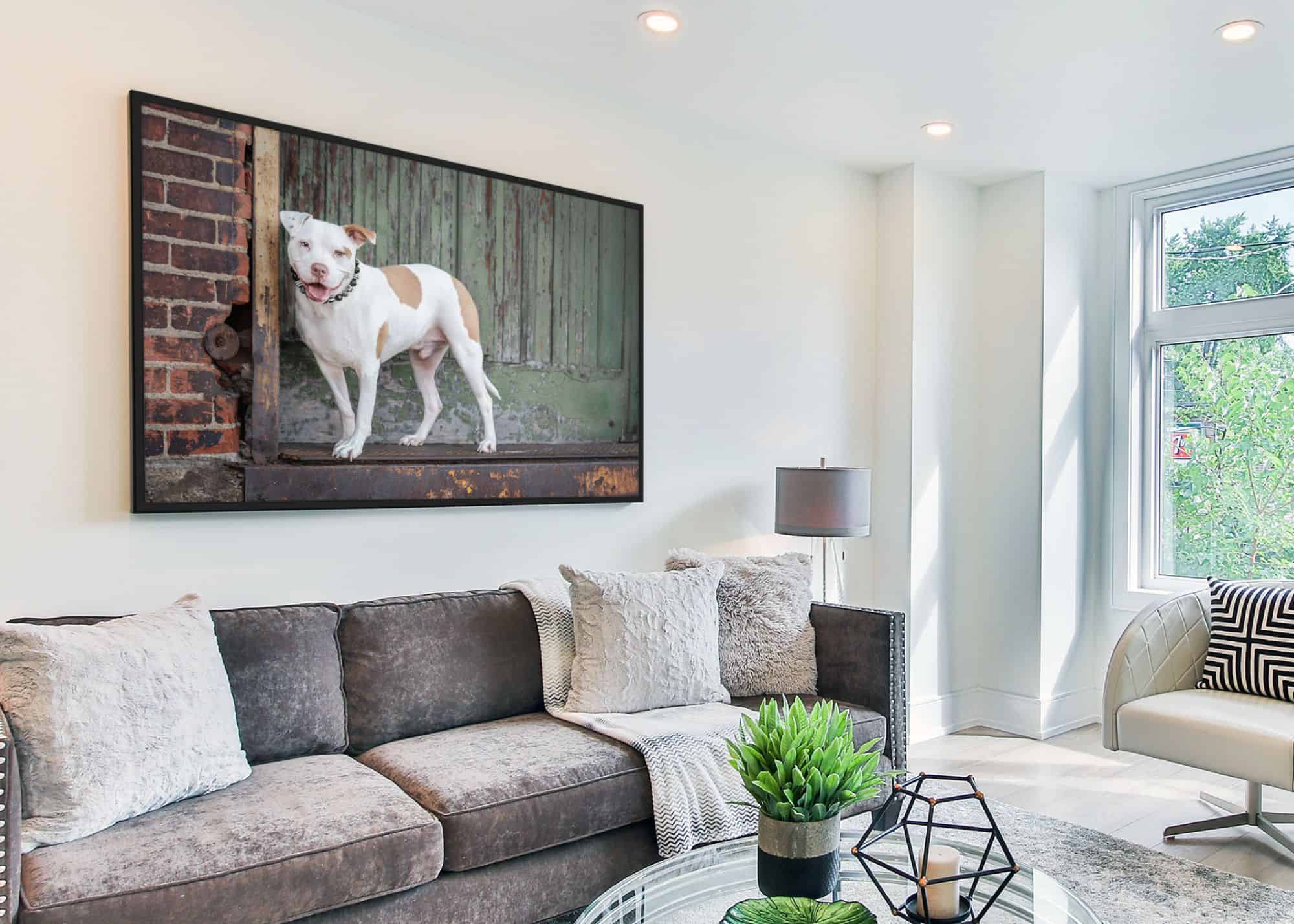 bespoke masterpiece of a white pit bull above a gray couch in a modern living room