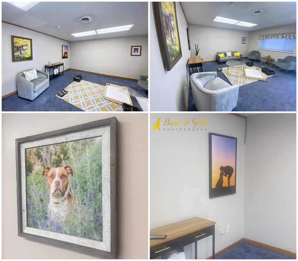 Bark & Gold Photography's portrait suite in progress of adding wall art sample and furniture