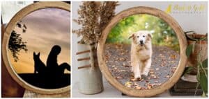Shine Bright: The Best Frames for Adding Sparkle and Glamour to Your Pet Portraits