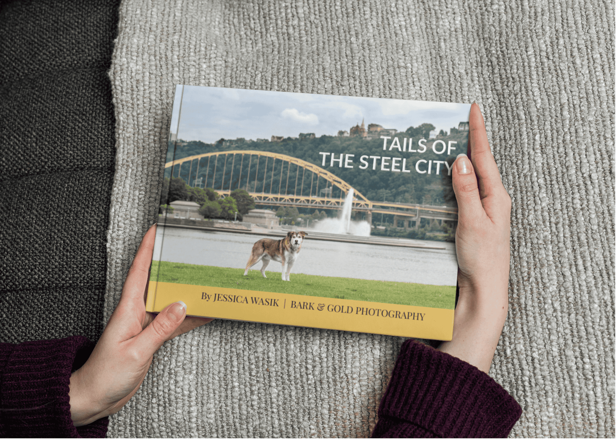 tails-of-the-steel-city-book-hands
