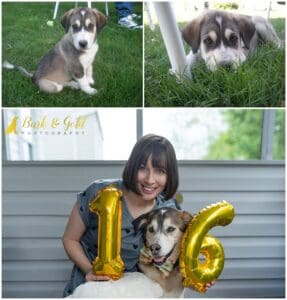 5 Lessons My Dog Taught Me (Even After He Was Gone)