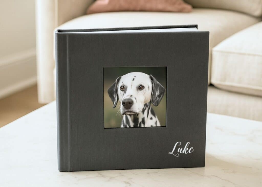 luke-gray-fine-art-album