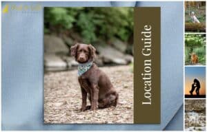 The Secret List Everyone Asks For, But Only My Clients Get