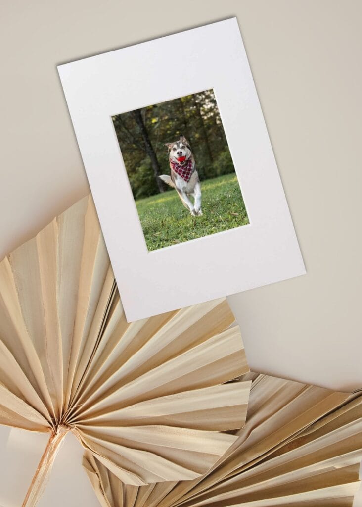 gift-print-certificate