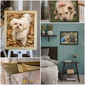 When It’s Too Late for a Session: Legacy Pet Portraits in Pittsburgh