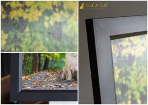 What Happens When a Photography Session Becomes the Last One You Ever Could Have