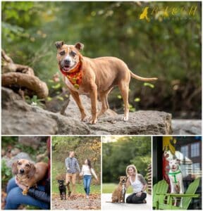 Your Dog Doesn't Care About Instagram, You Do