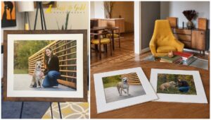 Classy Name, Yoda Ears, Zero Tolerance for Strangers: Meet Alice