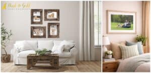 How to Actually Compare Pet Photographers (Beyond the Pretty Pictures)