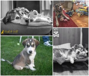 17 Lessons Hunter Taught Me (On What Would've Been His 17th Birthday)
