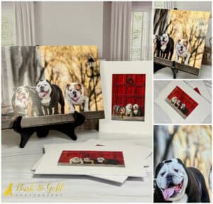 They Said It Couldn't Be Done (Spoiler: It Totally Could)