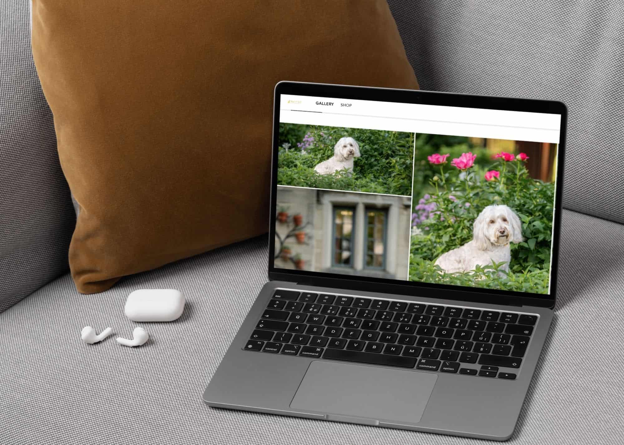 digital-files-bark-and-gold-complete-archive
