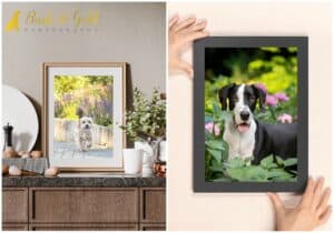 How to Vet a Pet Photographer (And What Certainty Should Feel Like When You Find the Right One)