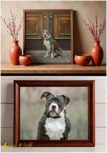 Luxury Pet Photography Is Frivolous—And That's Exactly the Point