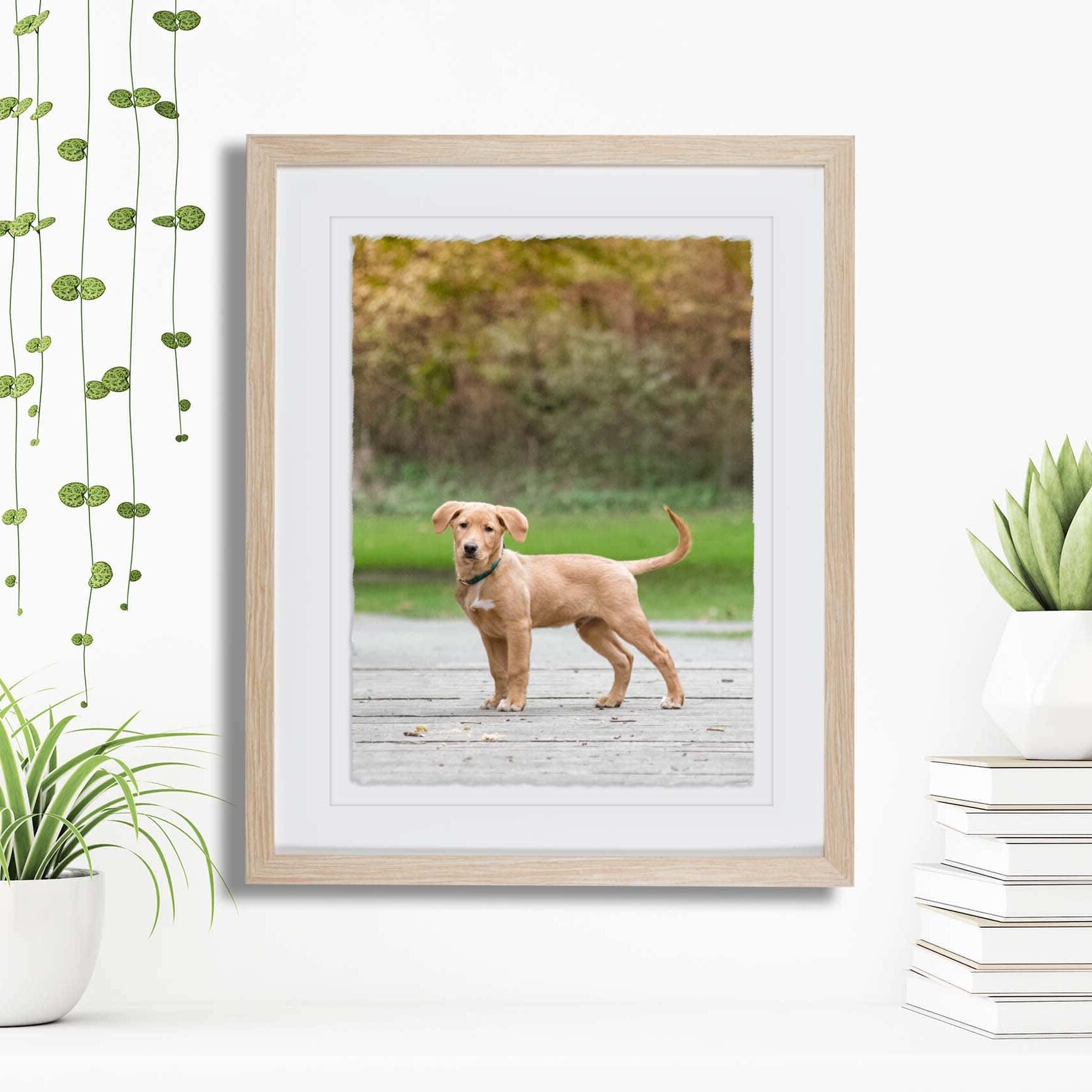 deckeld edge print with camel colored frame