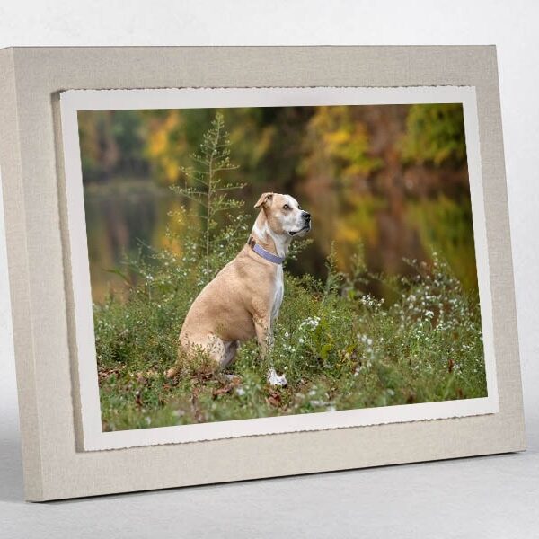 EdgeFloatBlock_TornEdge_002