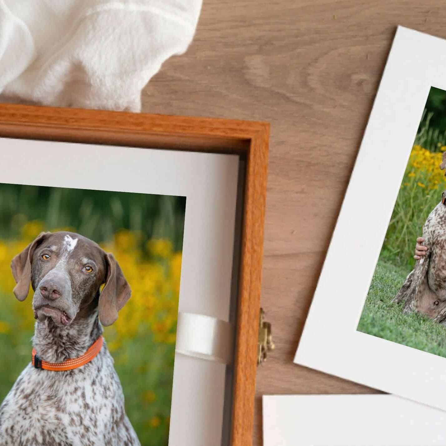 bamboo-folio-box-rotating-prints