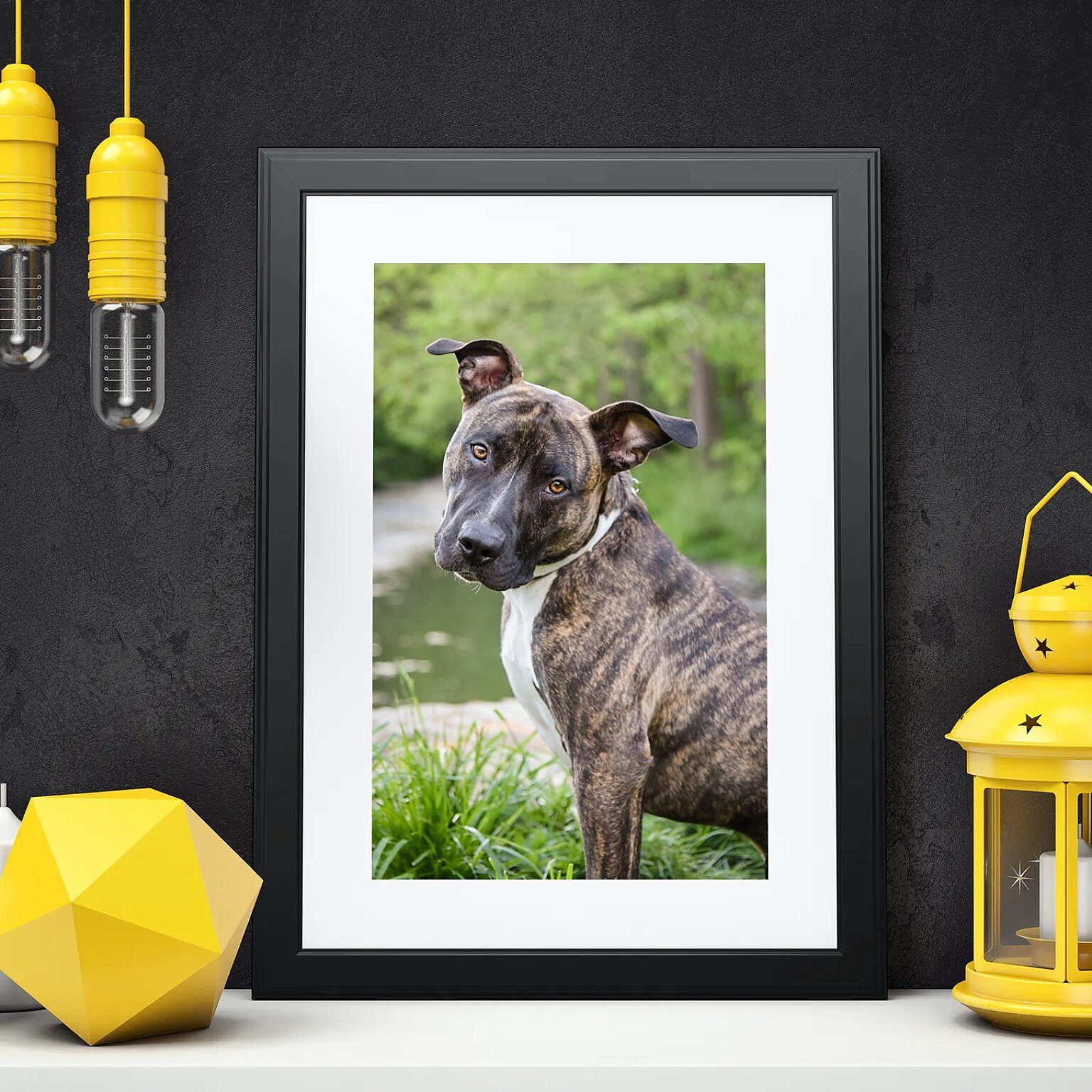 black framed print of pit bull with yellow lantern and white candles