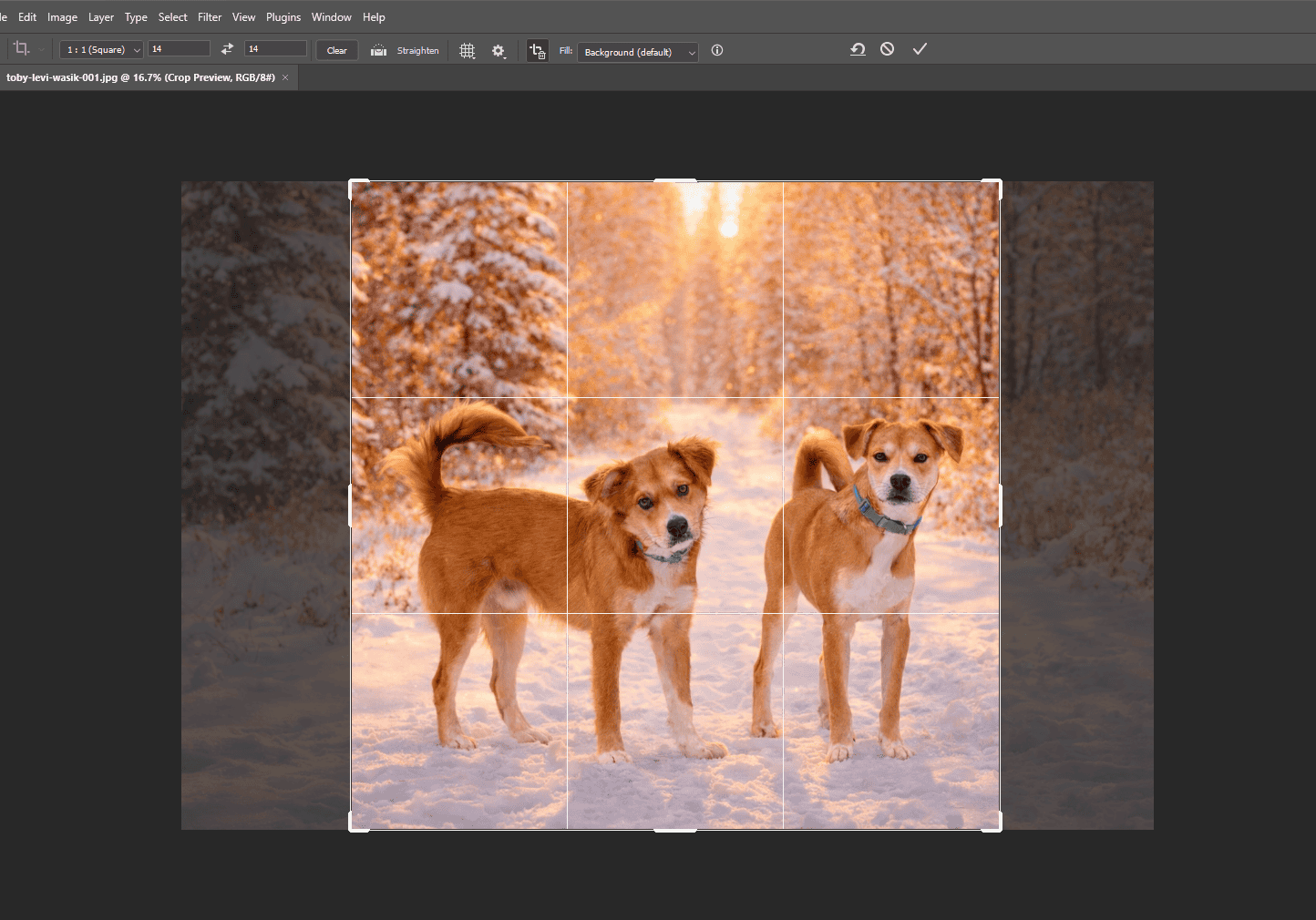retouch-for-legacy-portrait