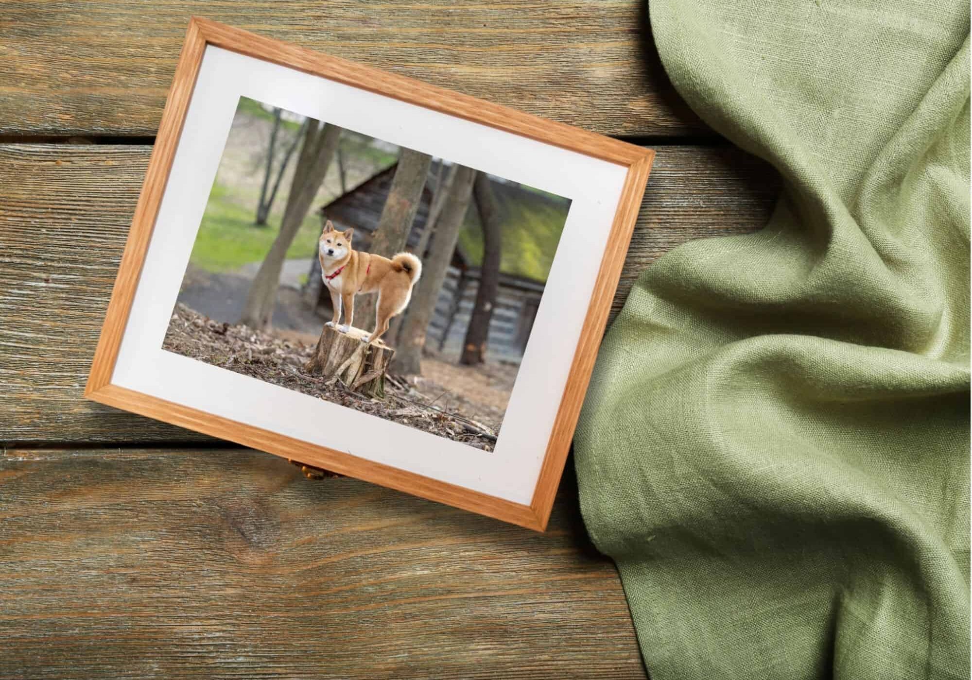 shiba-inu-bamboo-folio-box-lid